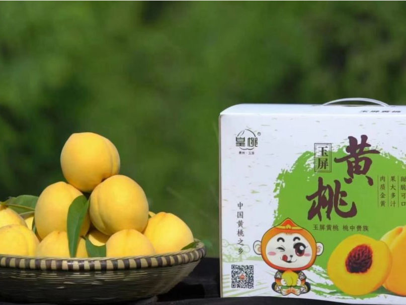 贵州玉屏黄桃将在莞展销，现场还有更多美味