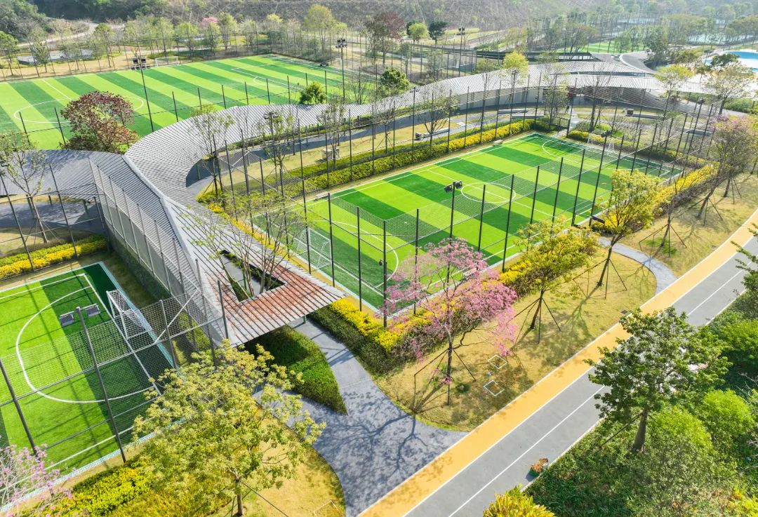 构建城市活力集聚空间，龙城公园活力谷开园迎客