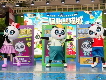 全球唯一大熊猫三胞胎“萌酷帅”签约天娱传媒组团出道