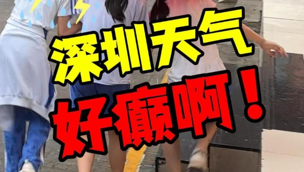 晶视频｜深圳天气，好癫啊！