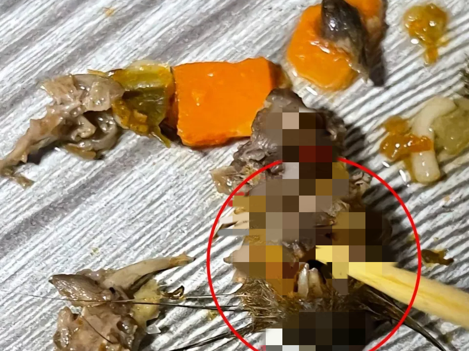 网友称在知名品牌方便面中吃出鼠头？企业回应→ 