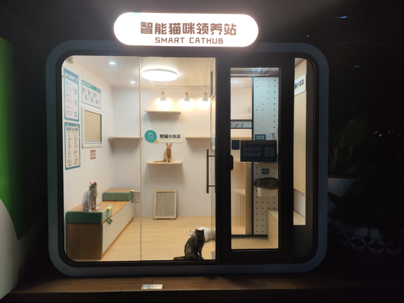 首个AI+猫咪领养站现身！城市流浪动物管理“新招式”，这次能走多远？丨宠圈那些事