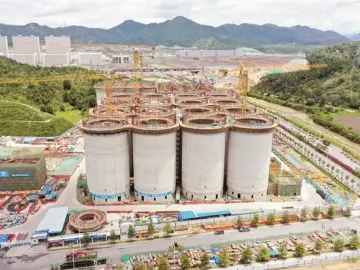 晶报特别报道 | 可储备粮食75万吨，深圳最大粮仓火热建设中