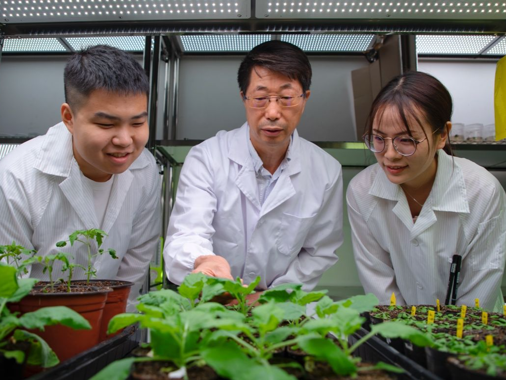 深圳理工大学杨贞标当选欧洲分子生物学组织外籍成员