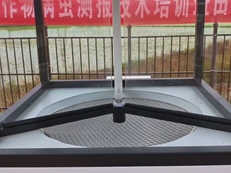 虫脸自动识别！惠州这样赋能植保“虫口夺粮”