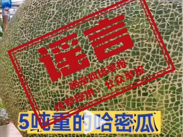 新疆惊现巨大哈密瓜？官方辟谣：系模型
