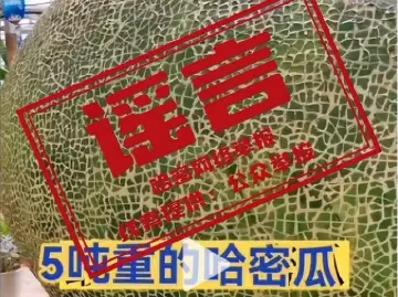 新疆惊现巨大哈密瓜？官方辟谣：系模型