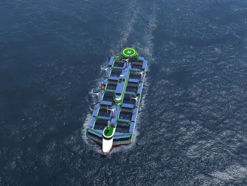 广东出台海洋牧场项目用海选址及控制标准