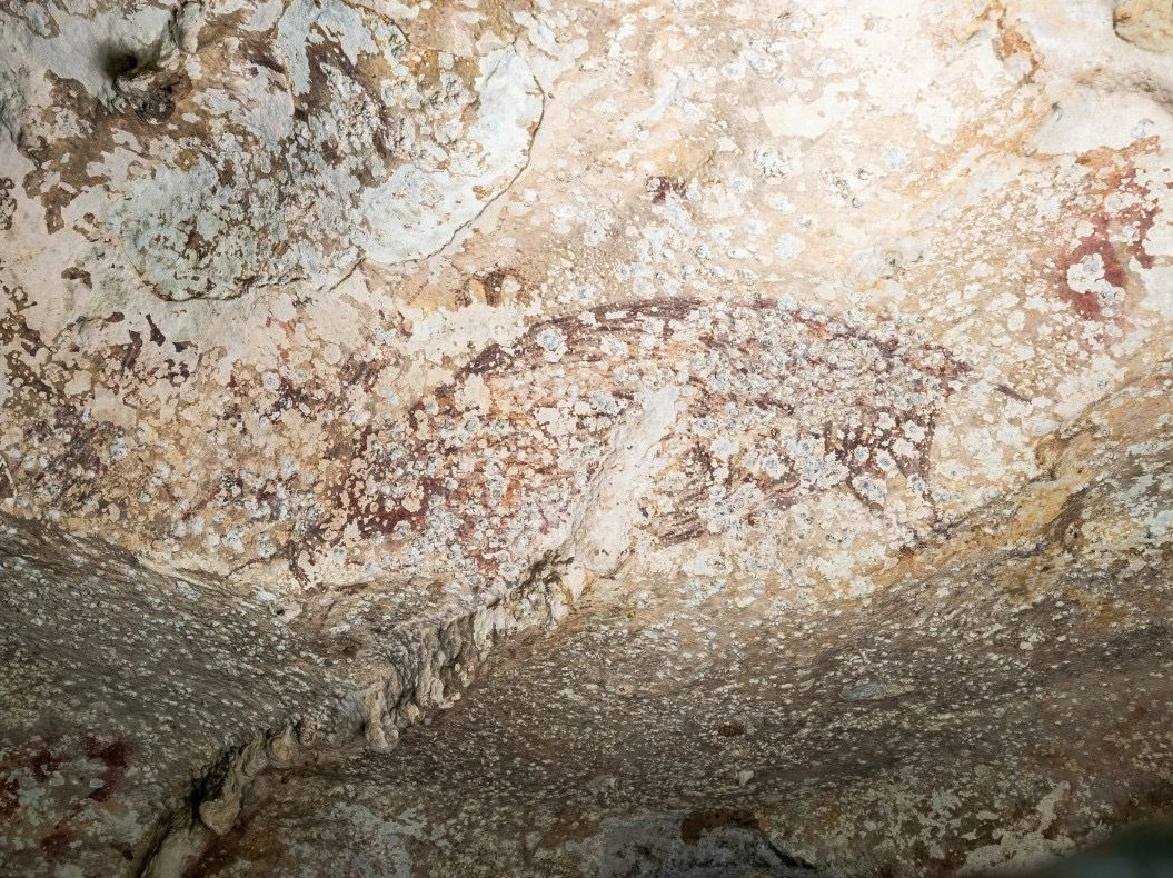 距今超5.1万年！印尼现世界已知最古老洞穴绘画