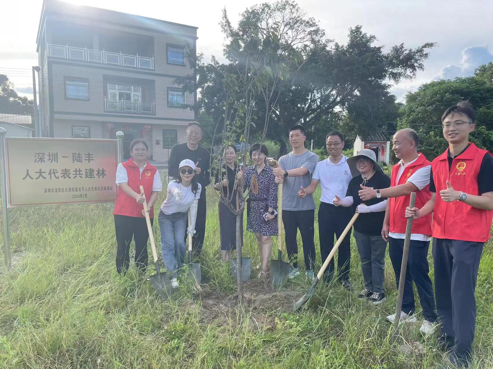 深圳汕尾两地人大代表共植人大代表林