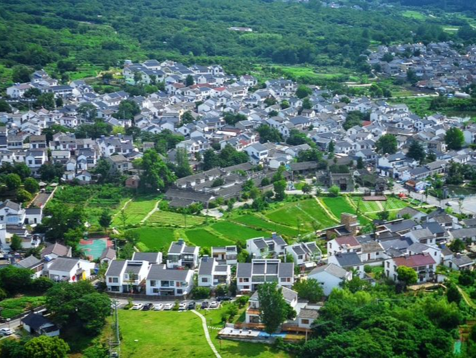 《花儿绽放》走进“金陵古风第一村”，南京的花儿卷起来了……