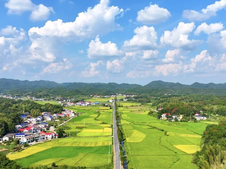 《花儿绽放》走进长沙“茶香小镇”