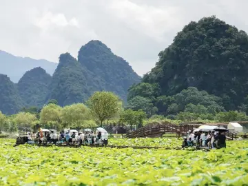 全球百对新人清远甜蜜之旅收官，有望打造大湾区文旅消费新爆点
