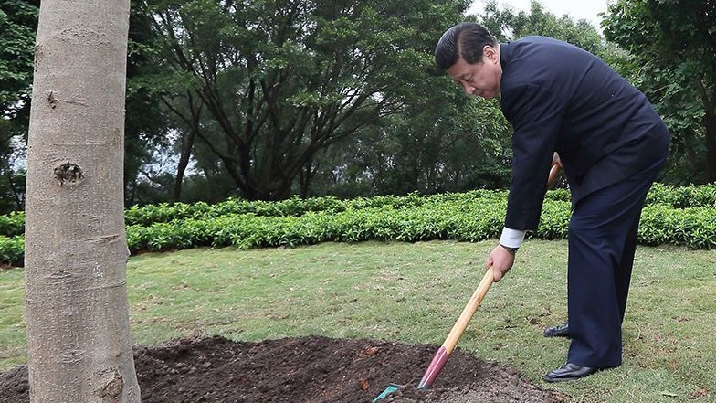 12年前，习近平总书记在深圳种了一棵“信心树”