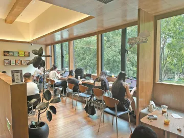 晶报特别报道 | 你会不会忽然出现在街角的咖啡店
