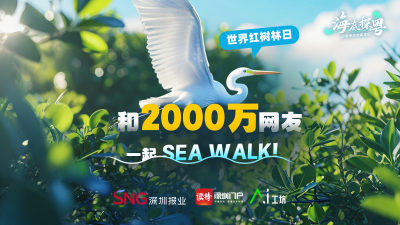 世界红树林日，和2000万网友一起SEA WALK！