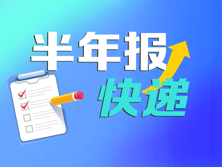 沪市首份半年报出炉：天马科技上半年净利润同比增长299.42%