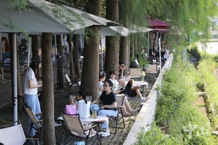 文明迎客 中山有礼|4天逾20万人次“打卡”，深中通道带火南朗文旅