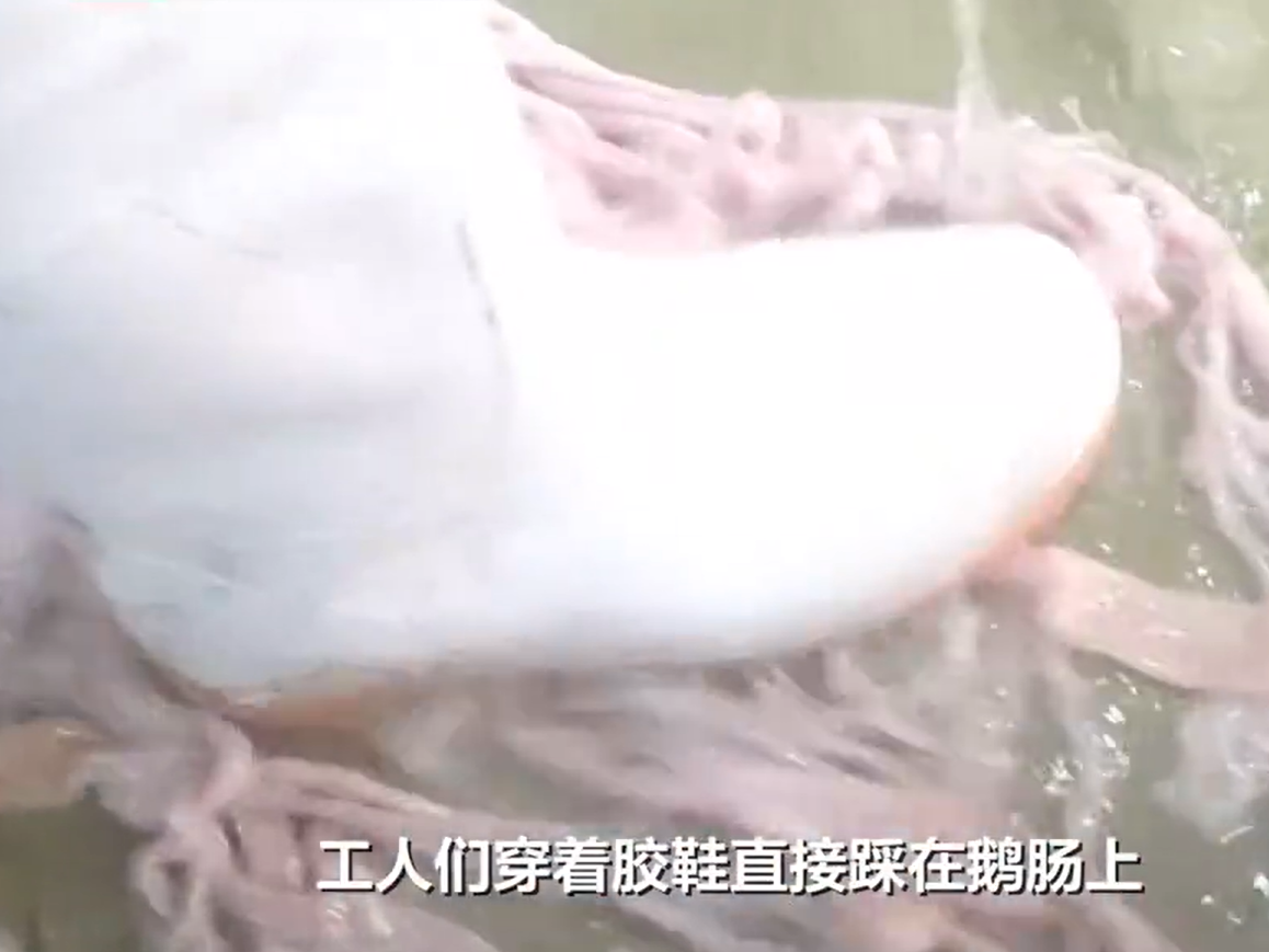 涉“脚踩鹅肠”事件，河南一企业被罚款2万元