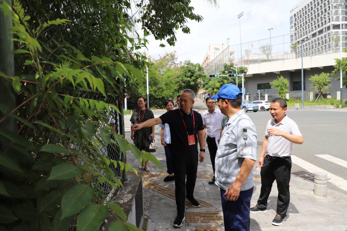 龙田街道：人大代表在行动 助力企业周边环境整治提升