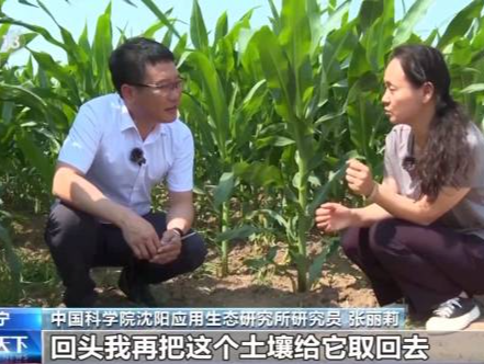 党旗在基层一线高高飘扬丨为了研发粮食的“粮食”，他们在田间地头“挖土” 