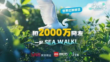 海底探“粤”，回归！2000万网友打卡“国宝级”SEA WALK