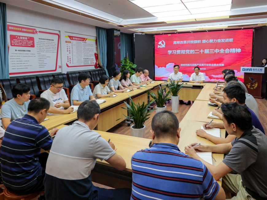 高举改革开放旗帜 凝心聚力奋发进取  深圳市新兴战略产业联合党委学习贯彻党的二十届三中全会精神