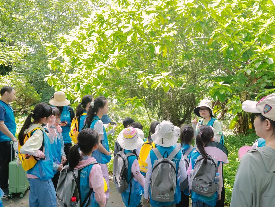 “美丽南山 我是行动者”走进华侨城湿地公园