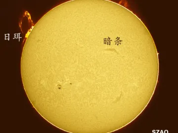 深圳市天文台成果登上《天体物理学杂志》 太阳观测数据在日珥气泡研究方面作出重要贡献   