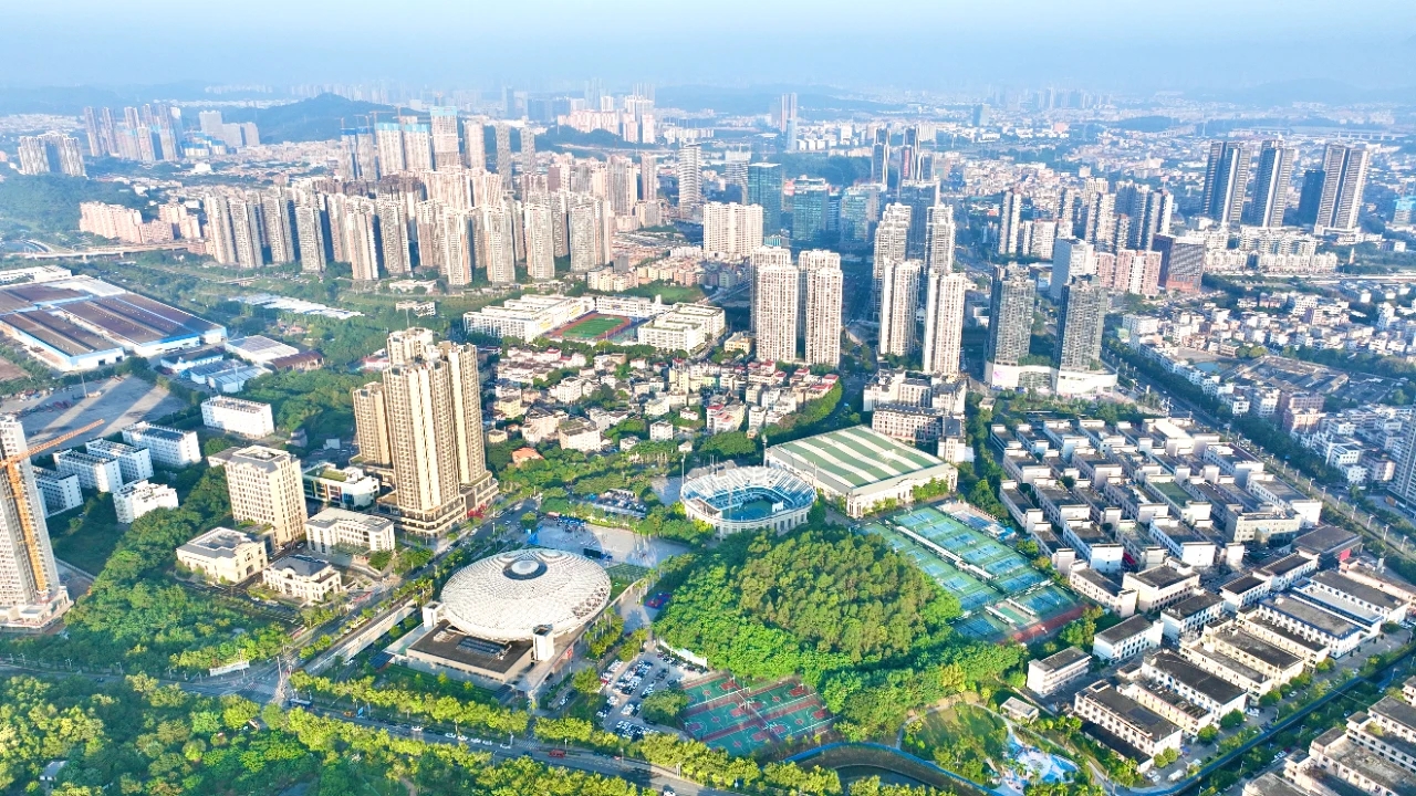 坪山党建力量① | 建在“链”上，聚力更澎湃