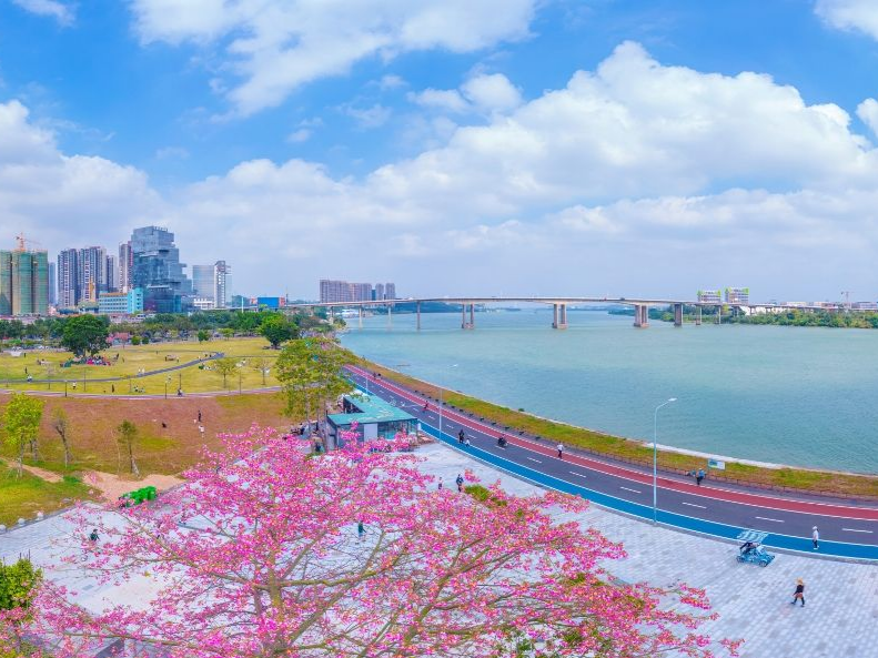 点水成金，江门“碧道+”模式大力发展“水经济”