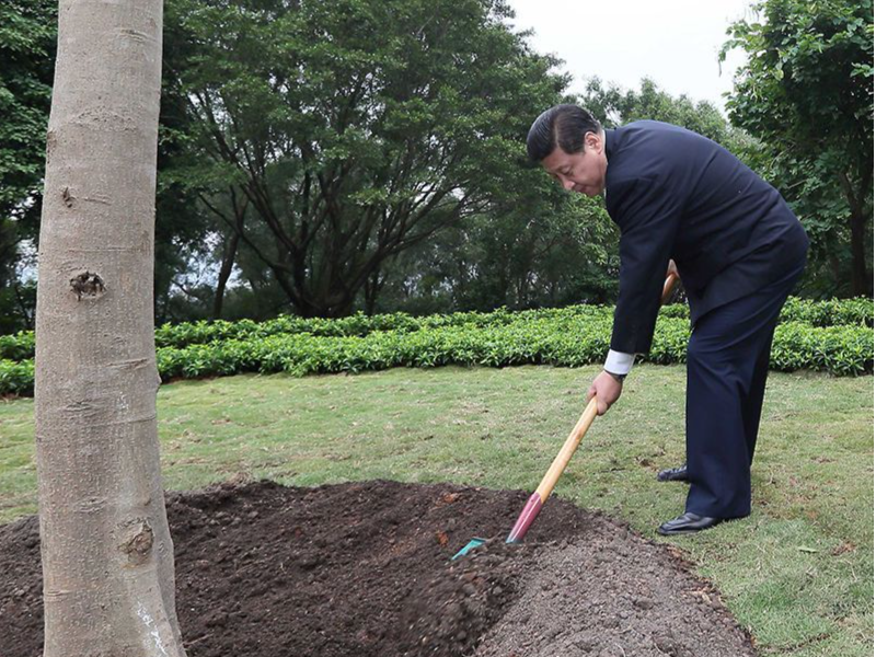总书记引领新时代改革开放的经典瞬间
