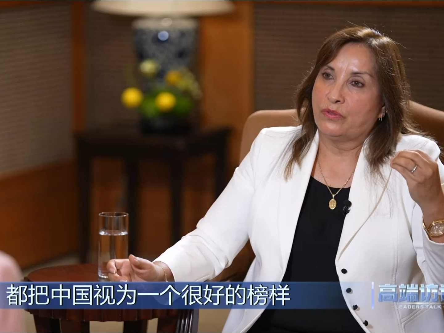 高端访谈丨专访秘鲁总统博鲁阿尔特