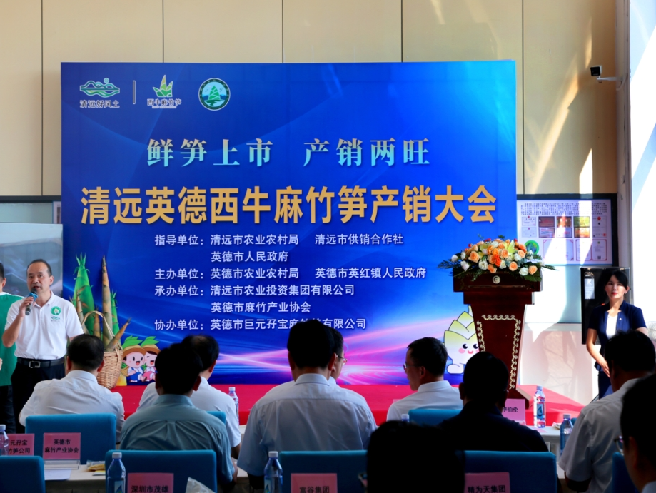 为麻竹笋保“价”护航， 英德市多措并举实现产销两旺