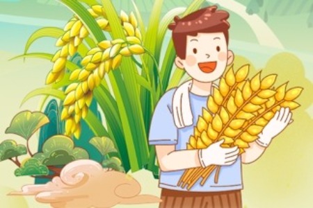 早稻迎丰收！中山这样端稳“饭碗” 