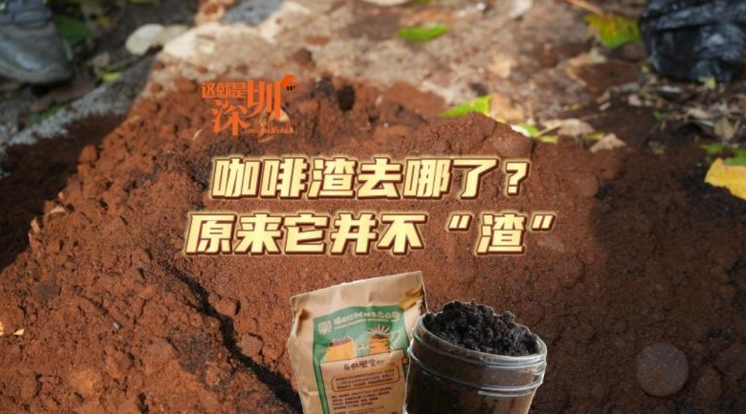 这就是深圳 | 咖啡渣去哪了？原来它并不“渣”