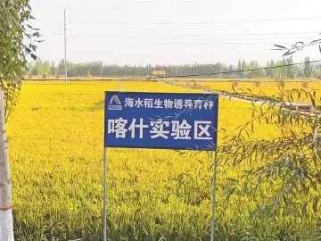 2023年度“深圳社会力量助力乡村振兴”典型案例发布