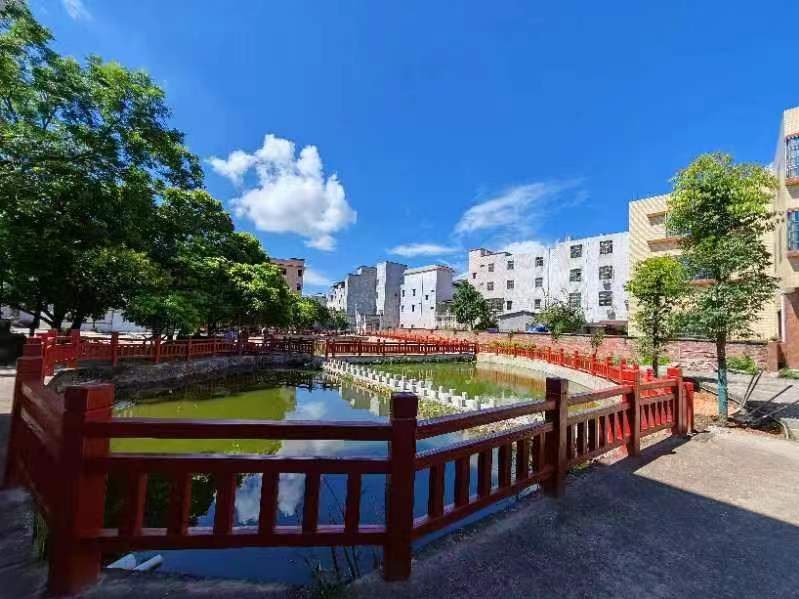 塑造乡村新风貌，梅州市丰顺县委党校与双湖村开展绿美共建