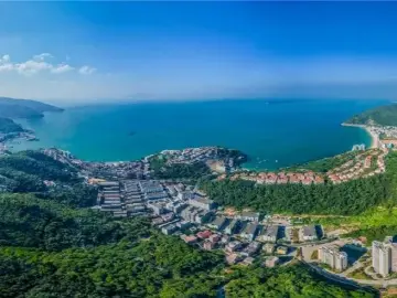 深圳一周丨各区书记区长这周都在忙啥？（7月1日-7月7日）