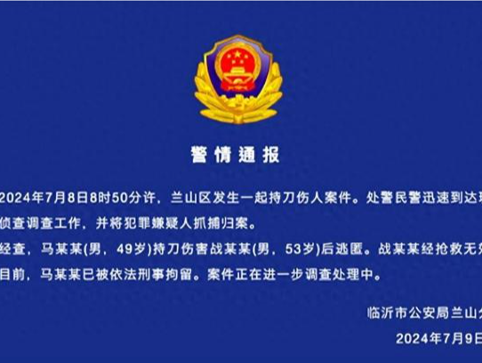 山东临沂市文联主席战祥春遇害，嫌疑人作案动机披露