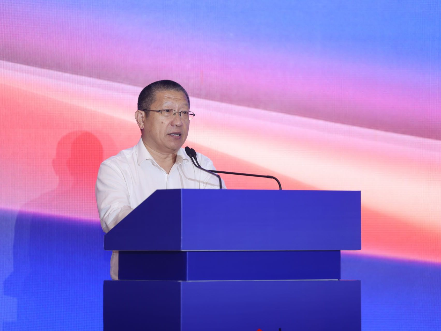 企业代表发言丨比亚迪股份有限公司何龙：新能源汽车发展只会越跑越快