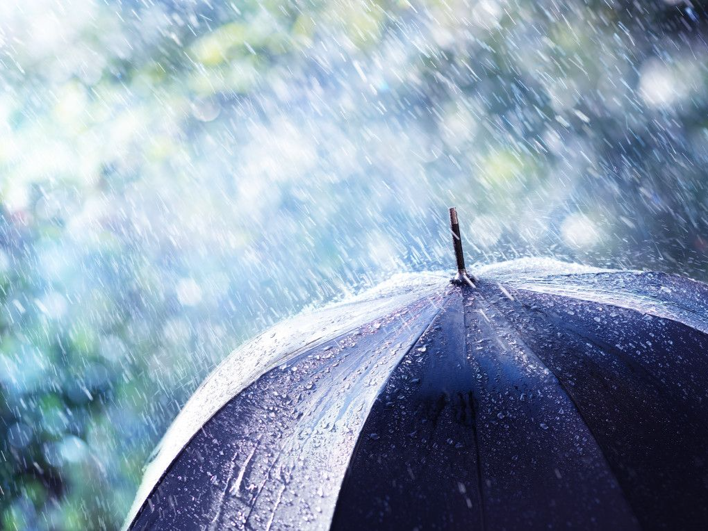 温度记｜@深圳er，YYDS！上班雨、午间雨、落班雨，下周或还有“台风雨”……