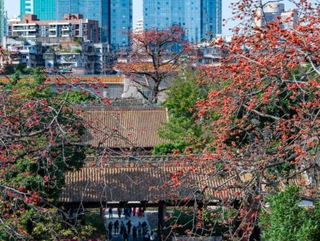 广州这所只培养了800多名学生的“学校”，为什么让人如此向往