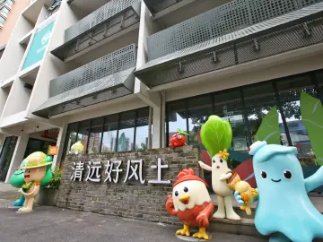 百千万工程的深圳力量·清远篇丨清远好物产畅销大湾区