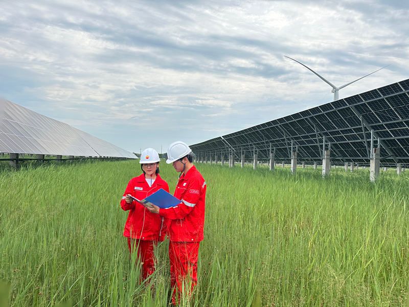 大庆油田上半年新能源发电量突破3亿千瓦时
