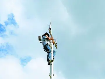 晶报特别报道 | 坚如磐石
