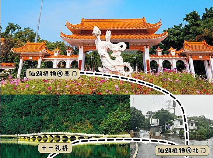 仙湖植物园环园观光巴士来了，日票10元不限次乘坐