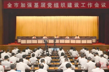 中山：以高水平基层党建推动高质量发展焕发新气象
