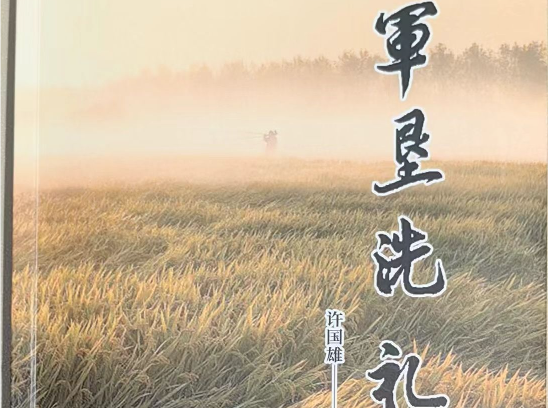 岁月淬炼,历史与记忆的回响 ——许国雄长篇小说《军垦洗礼》评析