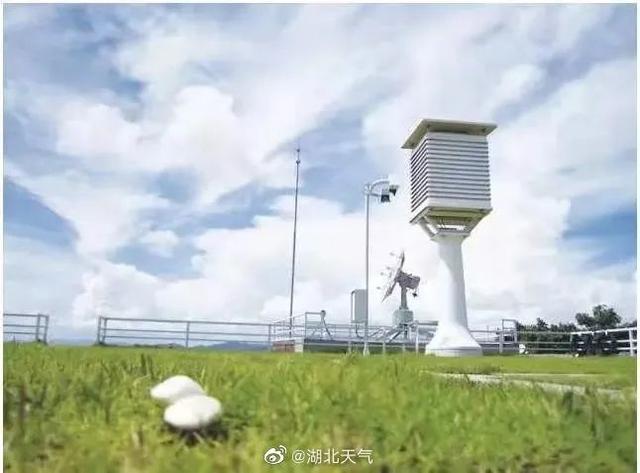天气这么热，却“不敢报40℃”？湖北气象官方回应